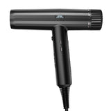 JRL Forte Pro Hair Dryer